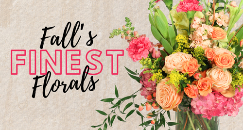 See our fall favorites!
