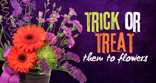 Find spooky flowers for Halloween